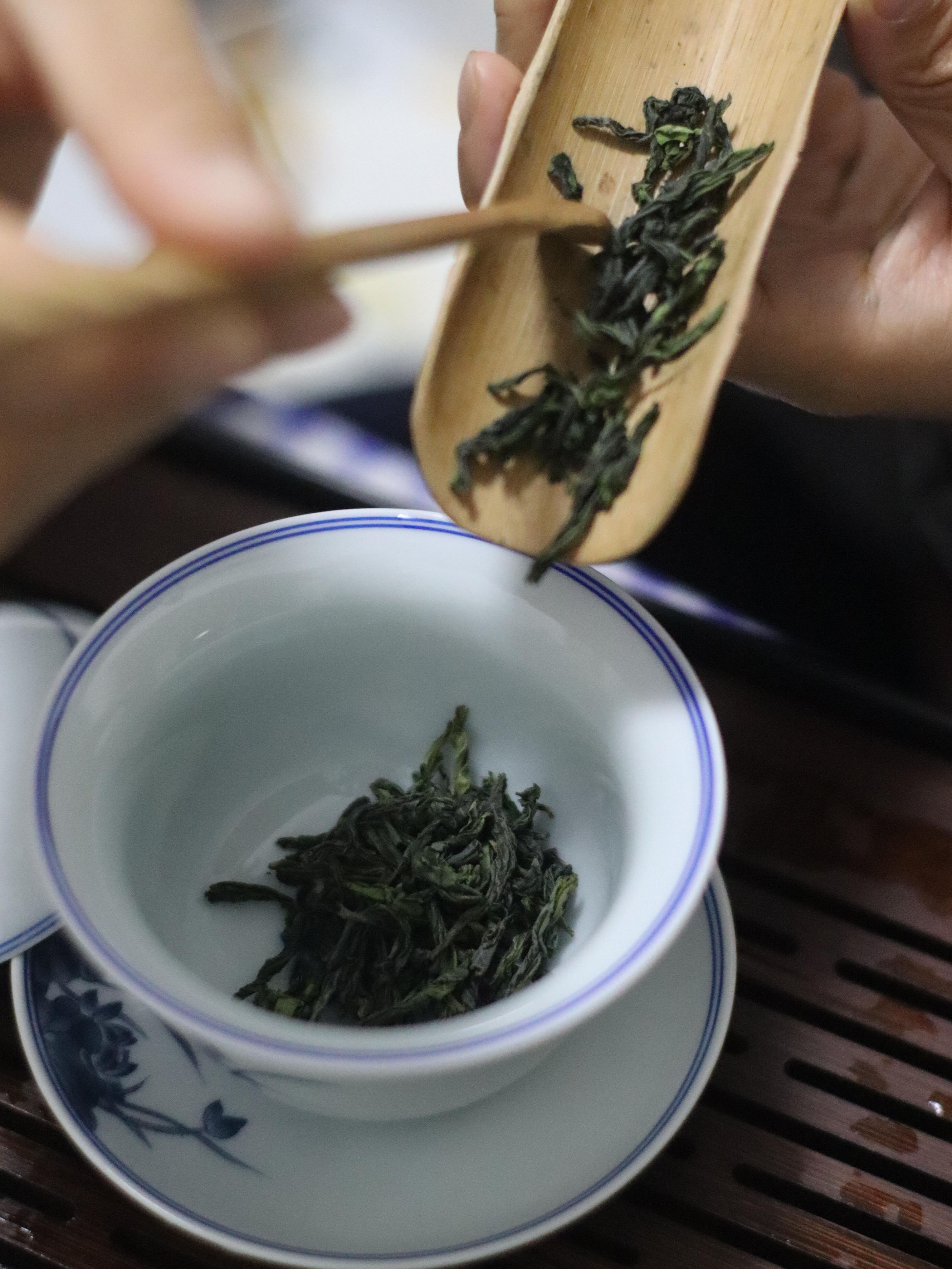 六安瓜片正确冲泡方法（新手完整版）