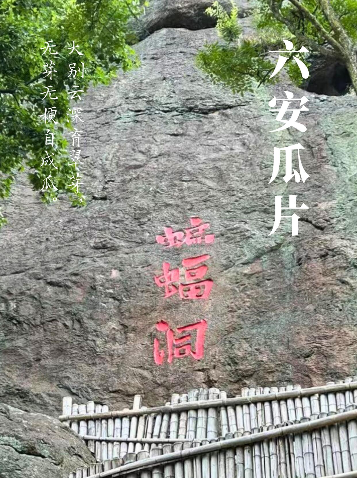 高血压、高血脂适合喝六安瓜片吗？