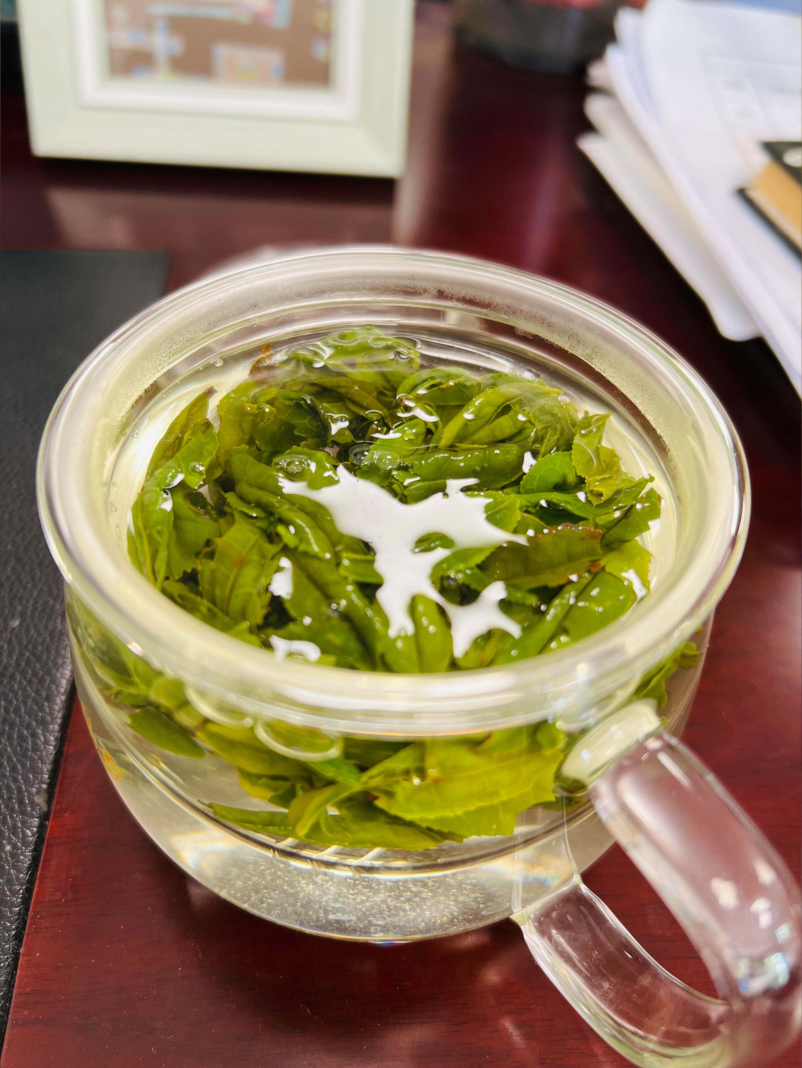 六安瓜片怎么冲泡？