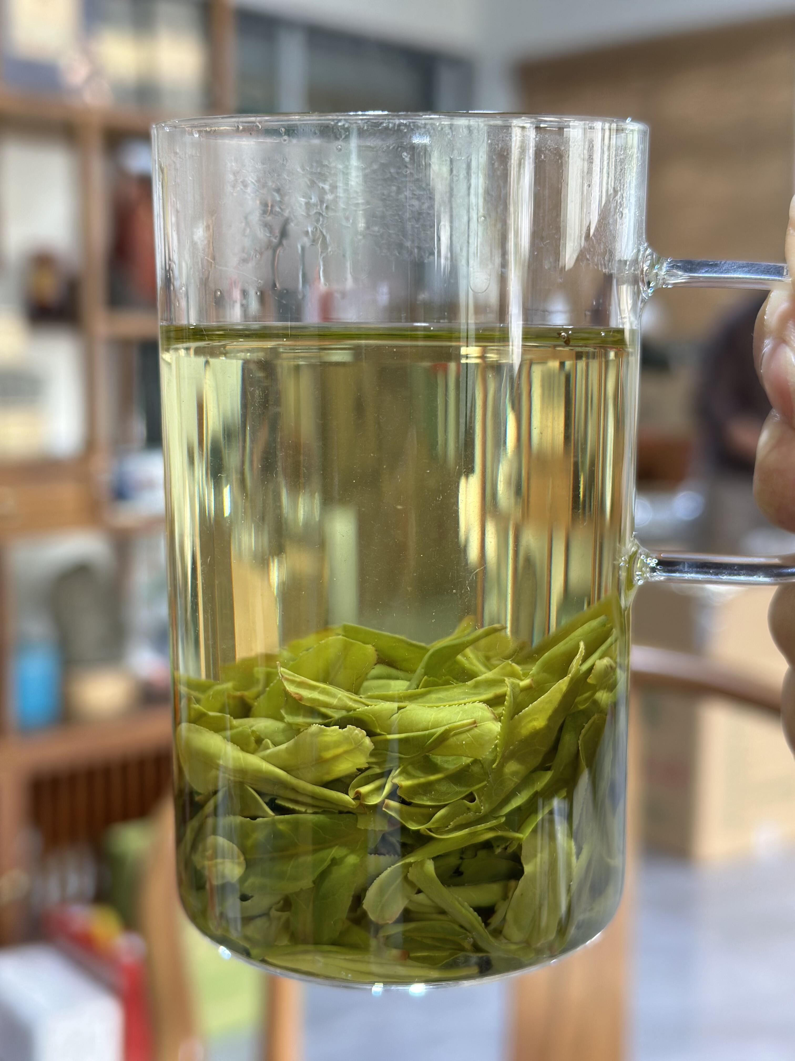 六安瓜片的历史：从明清贡茶到国礼名茶